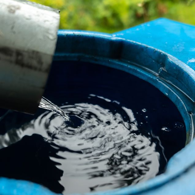 Regenwasser Sammelbehälter