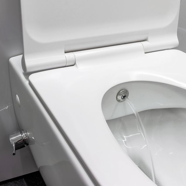 Dusch-WC