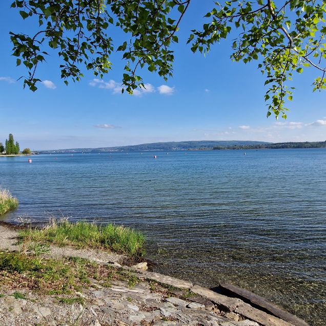 Bodensee